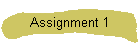 Assignment 1