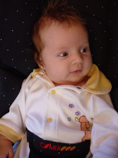 zi-08-24-elvis-stroller1