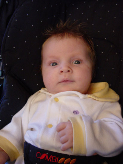 zj-08-24-elvis-stroller2