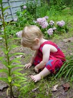cg-07-30-garden-sitting