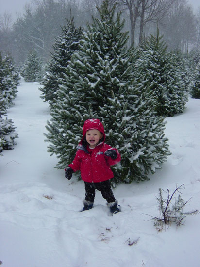 gb-12-14-tree-alone-smily-2
