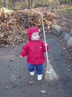 bb-11-15-rake