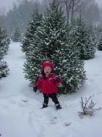 gb-12-14-tree-alone-smily-2