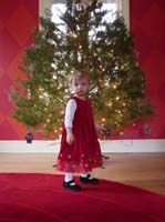 ob-01-09-tree-8