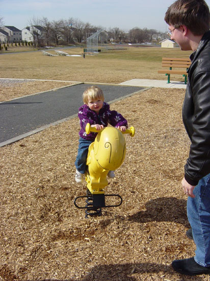 np-02-28-riding-bumblebee