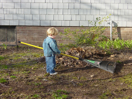 ie-04-10-raking