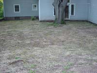da-06-09-lawn-sprouting-houseview