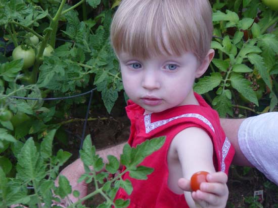 eg-07-10-picking-tomatoes-alone