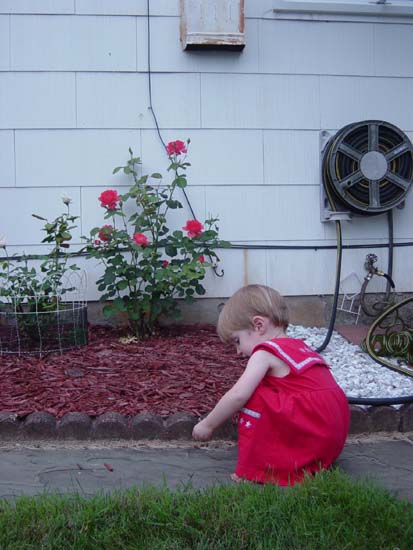 ej-07-10-Mirin-with-rose