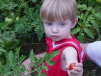 eg-07-10-picking-tomatoes-alone