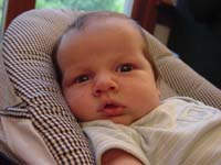 hb-07-23-in-bouncy-seat-frontview