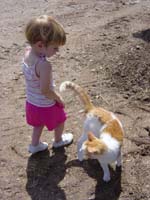 ib-07-25-petting-other-cat-2
