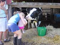ig-07-25-kiss-cow