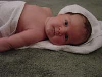 le-07-27-towel-sillymouth