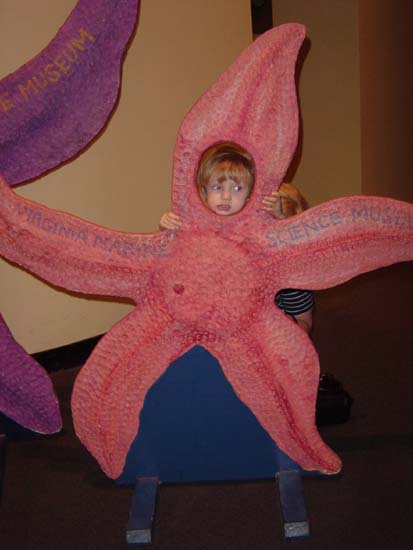 ia-09-18-mirin-as-starfish