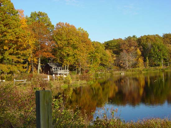 nb-10-18-lakeside-cabin