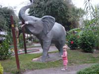 fd-09-14-mg-elephant