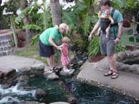 fj-09-14-mg-stepping-stones