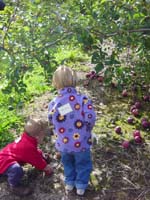 mp-10-18-pickin-apples-2