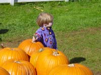 mt-10-18-pumpkins-2