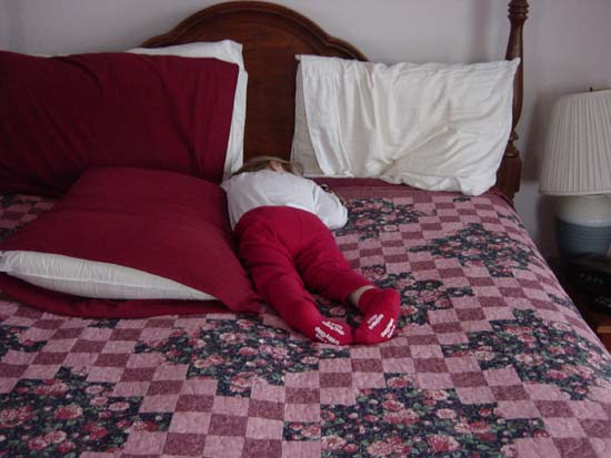 pf-12-27-nap-with-tiger-2