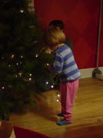 ik-12-14-trimming-the-tree