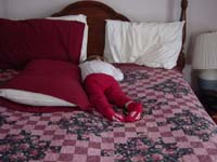 pf-12-27-nap-with-tiger-2