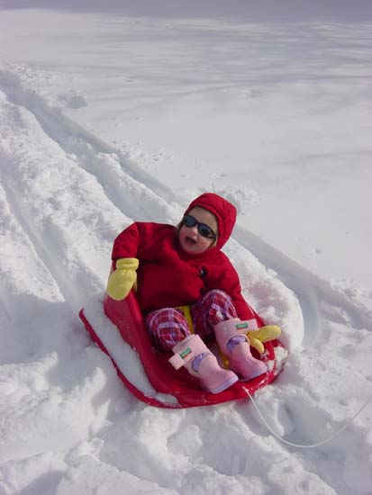 eb-01-29-movie-star-sled