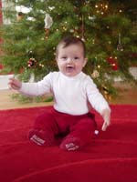 ce-01-07-rowan-tree-happy-blurryhands