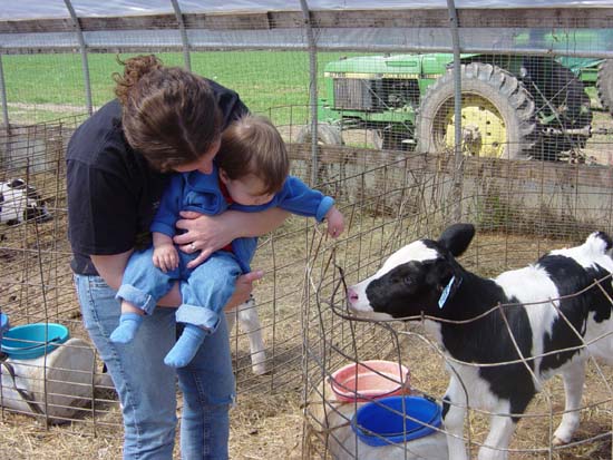 pa-04-16-rowan-calf