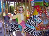 df-03-09-zebraback