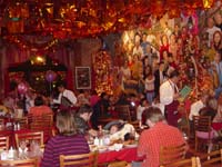 ip-03-13-mi-tierra-3