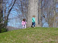 oh-04-11-tree-chase