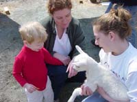 pb-04-16-sam-mattie-goat
