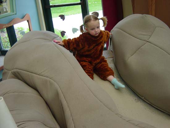 dm-05-08-mirin-beaver-slide