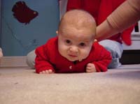 zf-01-04-tummy-braedon