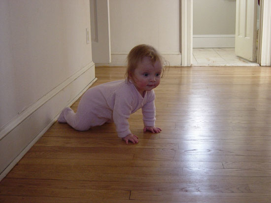 yt-02-13-crawl5