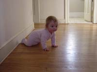 yt-02-13-crawl5