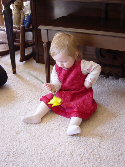 xj-04-20-sitting-daffodil-2