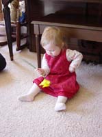 xj-04-20-sitting-daffodil-2