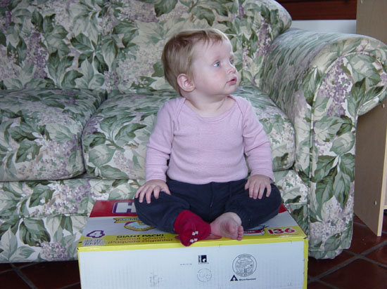 db-05-11-sitting-on-box-2