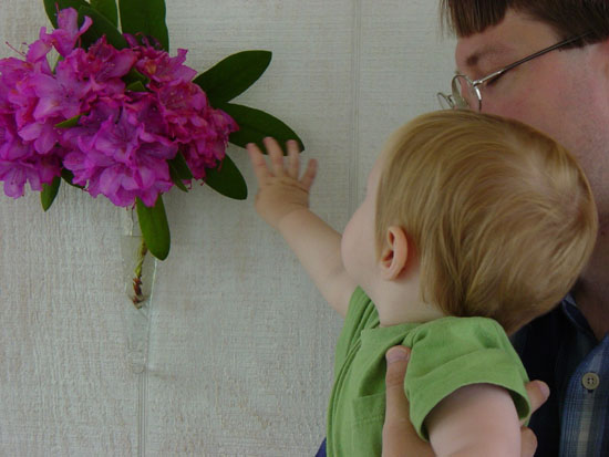 ff-06-08-pretty-flowers