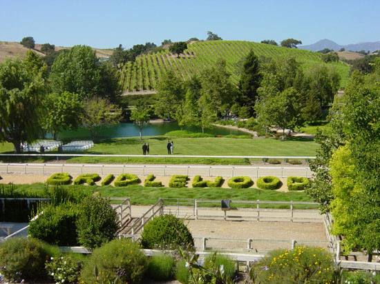 hb-06-26-wedding-back-winery