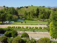 hb-06-26-wedding-back-winery