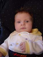 zj-08-24-elvis-stroller2