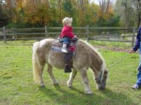hg-10-18-mirin-pony-standing-2