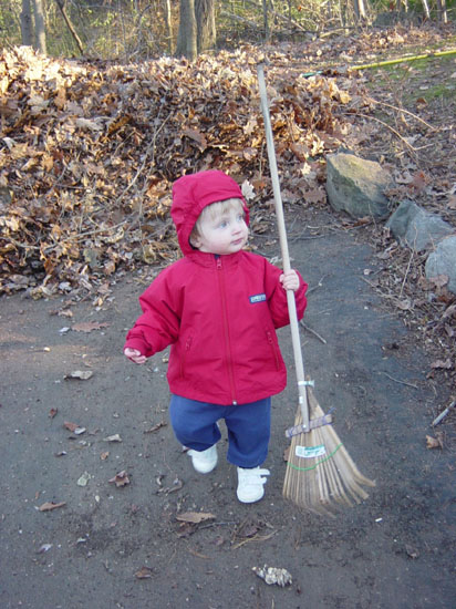 bb-11-15-rake
