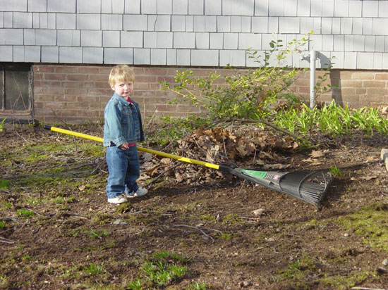 if-04-10-raking-annoyed