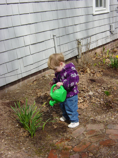 ja-04-10-watering-daffodils