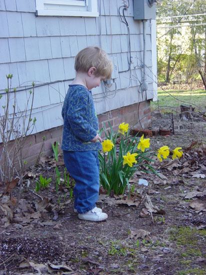 mb-04-16-garden-looking-down
